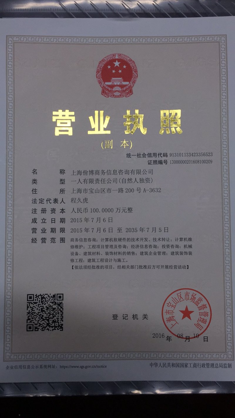 上海信息咨询业的智慧脉搏：从数据到洞察